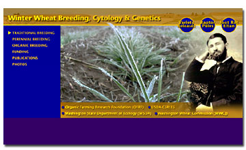 Winter Wheat Research